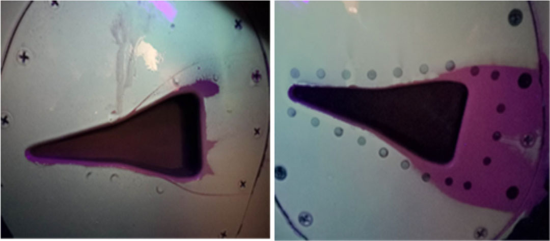 圖2 顯色涂層顯色情況（左翼、右翼）