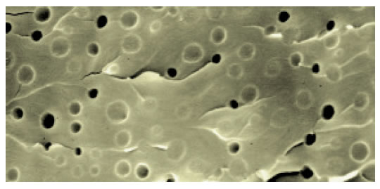 未命å?23.jpg 未命å?23.jpg